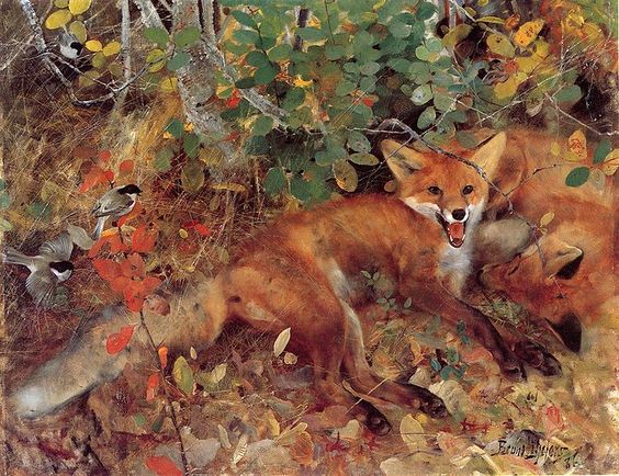 Foxes painting Bruno Liljefors
