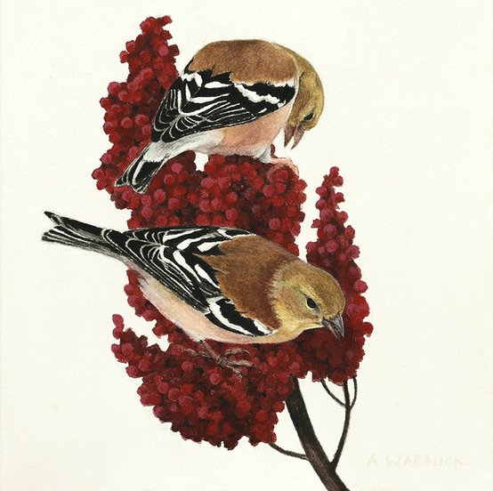 Goldfinches Watercolor Painting