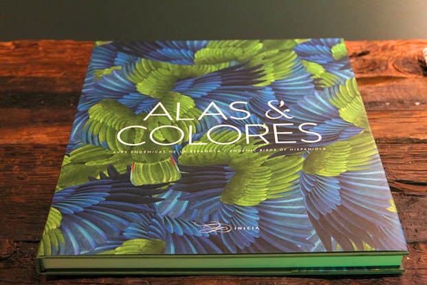Alex Warnick Alas y Colores