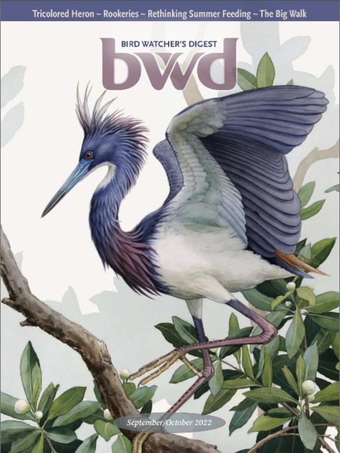 Alex Warnick Tricolored Heron Birdwatcher's Digest Cover