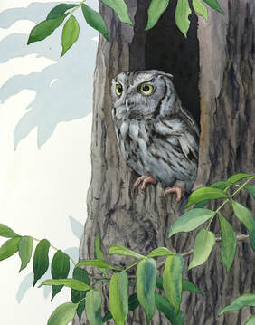 Alex Warnick Eastern Screech Owl Painting